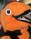 Avatar du membre